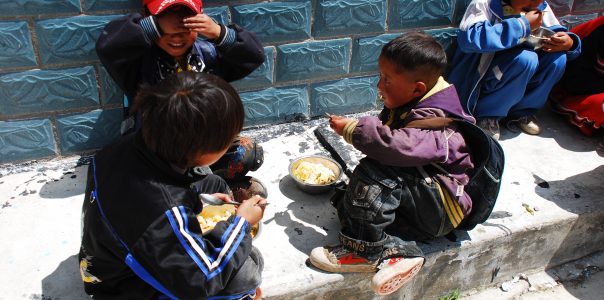 第六间 | 四川甘孜州稻城县赤土村藏族小学恩宁图书室（2009.08.27）