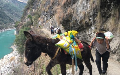第二十三间 | 云南省怒江州匹河乡社区恩宁图书室（2017.02.10）